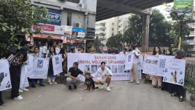 Animal welfare groups voice alarm over possible dog culling in Banani