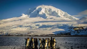 Trump tariffs: Even penguins can&rsquo;t escape the chill
