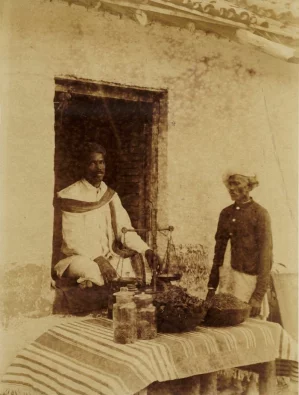 Hemp Drug Shop in Khandesh