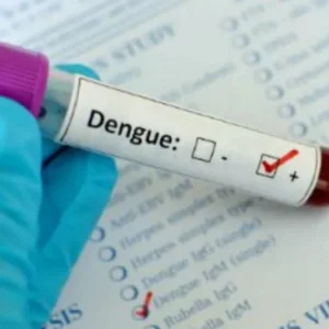 Dengue in Chittagong: 29,000 cases, 226 deaths in 