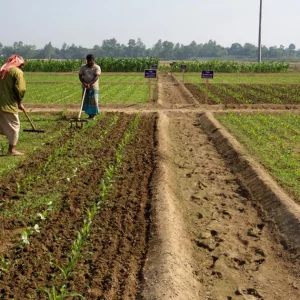 What does the future of agriculture look like?
