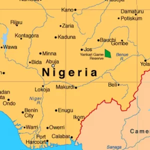 Hundreds of kidnap victims freed from Nigerian jihadists