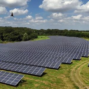 Solar policy cannot wait