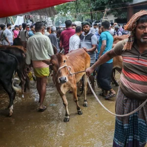 BB makes bank booths mandatory at cattle markets to prevent fake notes