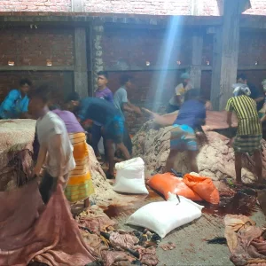 Govt raises price of sacrificial rawhide by Tk2 per sq ft in Dhaka