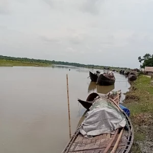 Safeguarding our shores