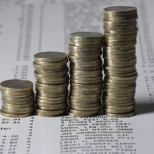 Budgeting for equity