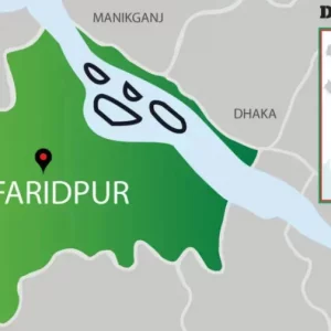Twin children killed in Faridpur train accident