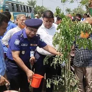 Bagerhat road division launches tree plantation drive
