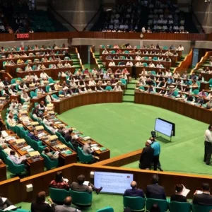 Opposition MPs walk out of parliament over referendum, July Charter demand