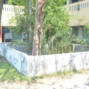 Jessore Genocide Day Saturday