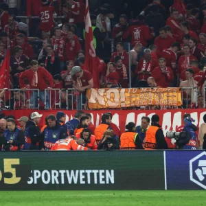 Bayern fans apologise after photographers injured at Real game