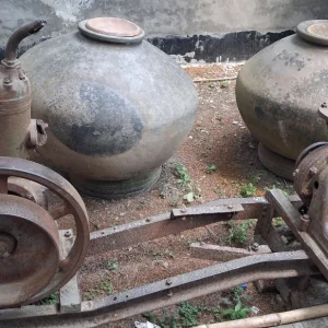 A Paris in the beel: The fading glory of Bhagyakul’s Raja