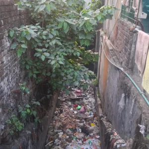 27 canals in Tangail on the brink of disappearance