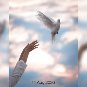 Old wounds reopen as ‘Awarapan 2’ brings back broken love