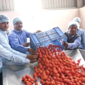 Bright prospects for agro-processing industry in Rajshahi region