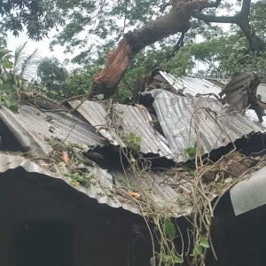 Three villages without power for two days after storms in Sreepur