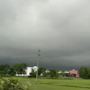 Sunamganj haor farmers battle storms, labour shortage and time pressure