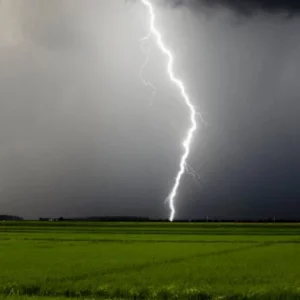 Lightning strikes kill 13 in nine districts