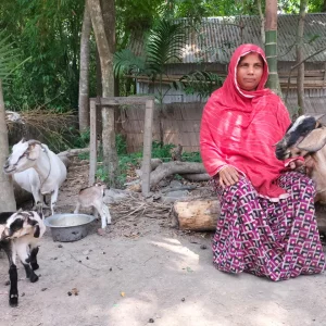 Alternative livelihoods for fisher families boost fish production by 50,000 tons