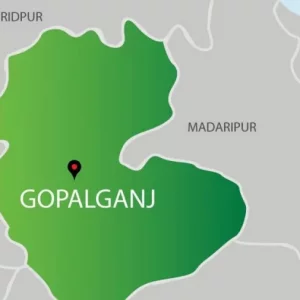 Farmer left destitute as fire reduces house to ashes in Gopalganj