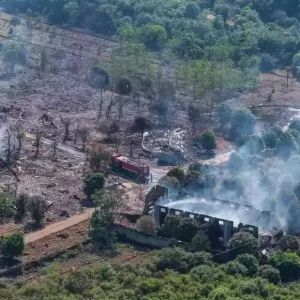 Death toll rises to 37 in China fireworks plant explosion