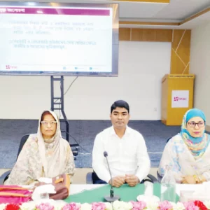 Stakeholders urge coordinated action to build violence-free society