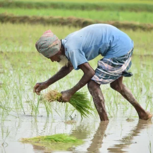 Financing agriculture: The farmer is not the problem