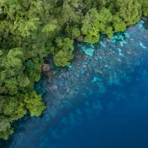 Protecting our biodiversity is protecting our future