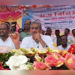 Anne: Permanent embankment to be built on Jamuna River in Tangail