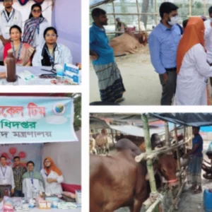 87 veterinary interns join free treatment drive at Dhaka cattle markets