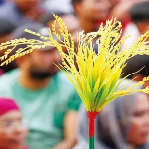 BNP allies express frustration over limited role in govt