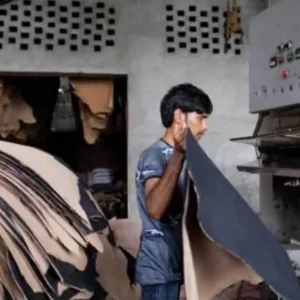 Leather sector at crossroads as policy gaps, compliance failures threaten growth potential