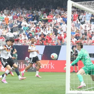 Germany, Portugal shine, England toil hard as Belgium win bi