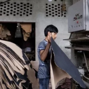 Leather industry needs policy support