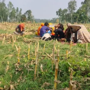 BSF takes back 11 people left at Thakurgaon border