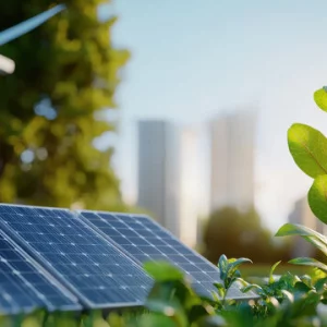A pathway for renewable energy development