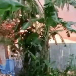 3 die after mob sets fire to rape-murder suspects' homes in 