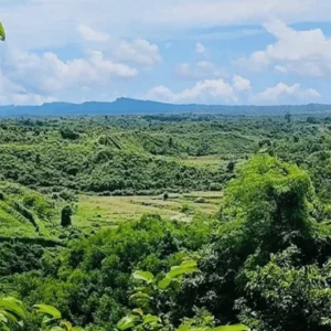 Rohingya man killed in landmine explosion along Bandarban bo
