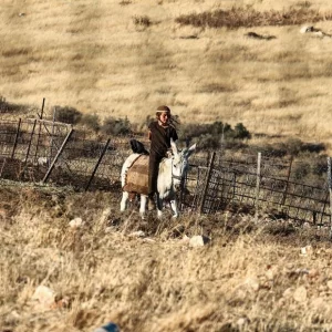 Amnesty accuses Israel of ‘ethnic cleansing’ of West Bank Be