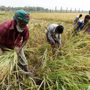 Govt moves to waive farm loans up to Tk 10,000 in 