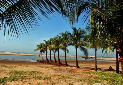 Burst of paradise | Syed Zakir Hossain/Dhaka Tribune