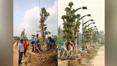 Vinyl World Group, an ad firm, has undertaken the valiant endeavour to beautify and introduce greenery to the major Dhaka road  | Syed Zakir Hossain/Dhaka Tribune - 