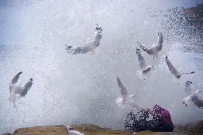 Seagulls and rock-fishing couple, Arie and Zakiyyah Widodo are sprayed by a large wave breaking against the rocks near Sydneys Bronte Beach, Australia, February 26, 2017rnrnREUTERS