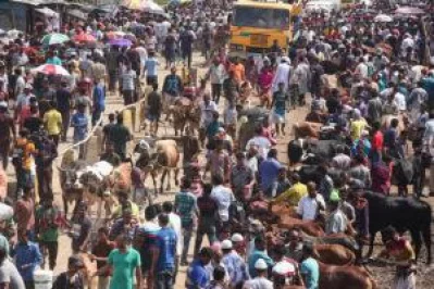 Buyers at Dhaka cattle markets wait for last minute price cuts