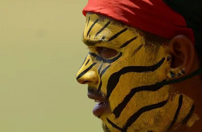 A Bangladeshi cricket supporter with his face painted in the style of a tiger looks on during the third day of the opening Test cricket match between Sri Lanka and Bangladesh in Galle on March 9, 2017 /AFP PHOTOrn