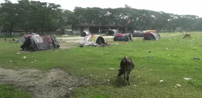 Clusters of makeshift sheds standing on a bamboo frame and polythene sheets can bee seen on one side of the ground | Dhaka Tribune