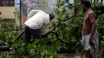 Many trees were uprooted owing to strong winds. Photo: DHAKA TRIBUNE