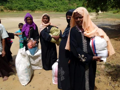 There are several hundreds of Rohingyas coming in every night | Dhaka Tribune