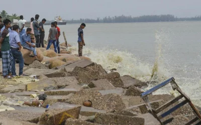 Many people moved to the storm shelter stations with their livestock in order to protect them from the ravage of the storm | Rabin Chowdhury/Dhaka Tribune